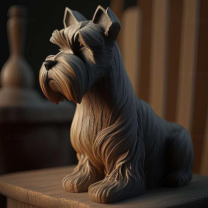 Zwergschnauzer dog